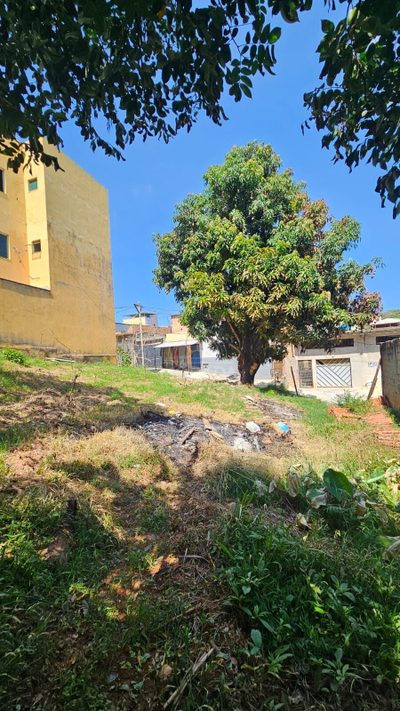 Terreno, 180 m² - Foto 5