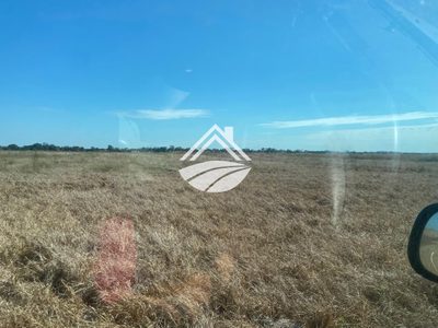 Fazenda, 1500 m² - Foto 5