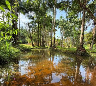 Fazenda, 1 hectares - Foto 1