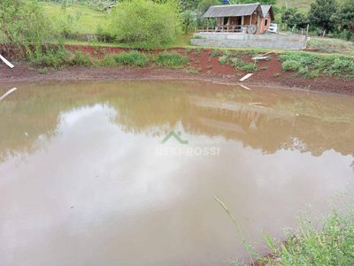 Chácara, 4 hectares - Foto 1