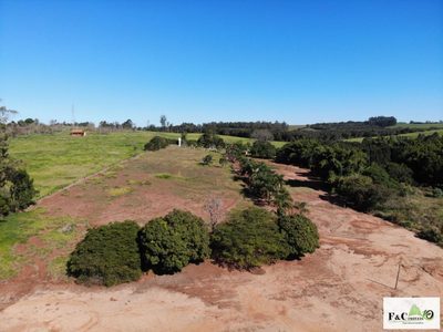 Chácara, 5 quartos, 3 hectares - Foto 4