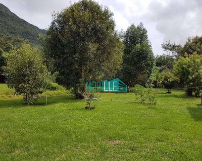 Terreno, 8 hectares - Foto 5