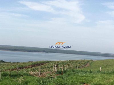 Fazenda, 266 hectares - Foto 1