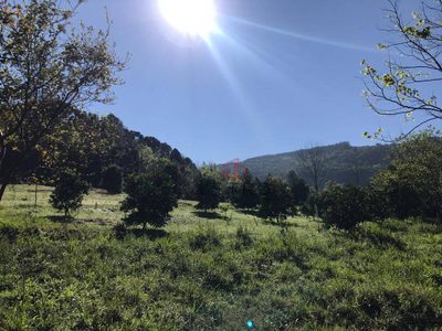 Sítio, 3 quartos, 45 hectares - Foto 1