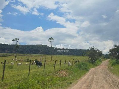 Fazenda, 182 hectares - Foto 5