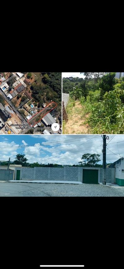 Chácara, 3 quartos, 2033 m² - Foto 3
