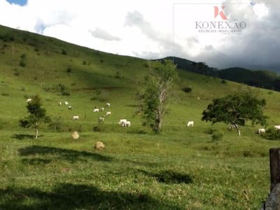Fazenda, 2904 hectares - Foto 2