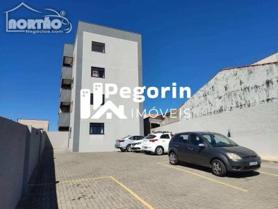 Casa, 5 quartos, 62 m² - Foto 4