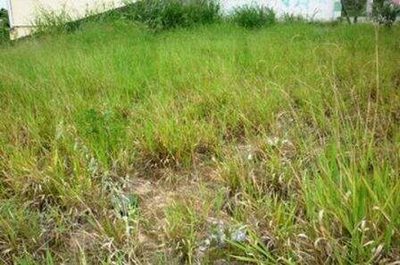 Terreno, 3600 m² - Foto 2