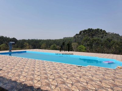 Chácara, 3 quartos, 2 hectares - Foto 4