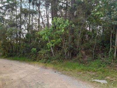 Terreno, 1550 m² - Foto 3
