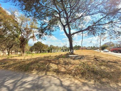 Terreno, 6000 m² - Foto 4