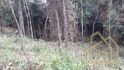 Terreno, 5200 m² - Foto 5