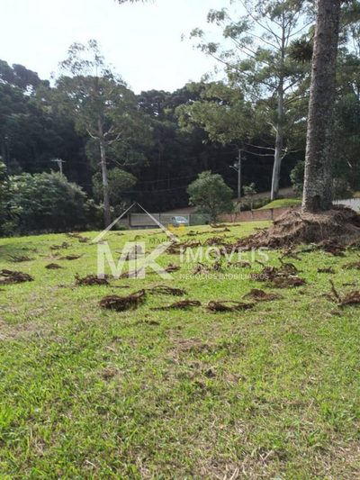 Chácara, 3 quartos, 2 hectares - Foto 3