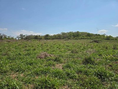Terreno, 1266 m² - Foto 5