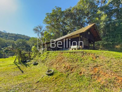 Sítio, 2 quartos, 3 hectares - Foto 4
