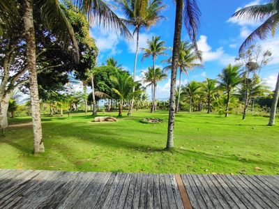 Fazenda, 19 hectares - Foto 4