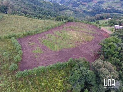 Chácara, 12 hectares - Foto 4