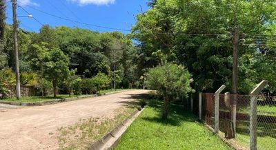 Sítio, 2 quartos, 4499 m² - Foto 2