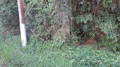 Casa de Condomínio - Foto 2