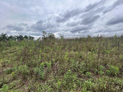 Terreno, 29 hectares - Foto 4