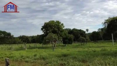 Fazenda - Foto 3