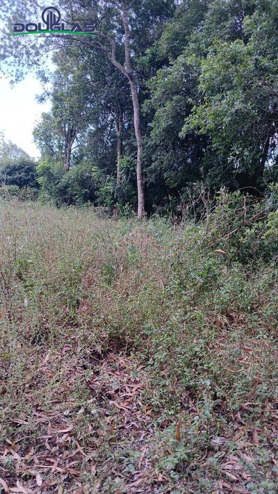 Terreno, 800 m² - Foto 5