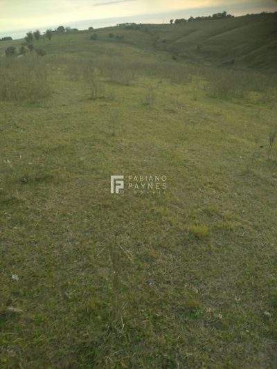 Chácara, 15 hectares - Foto 1