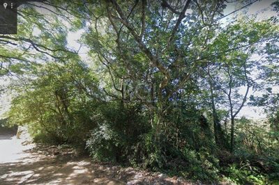Terreno, 606 m² - Foto 2