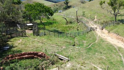 Sítio, 3 quartos, 24 hectares - Foto 4