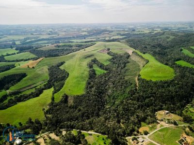 Terreno, 19 hectares - Foto 2