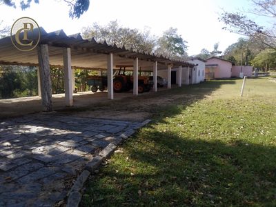 Sítio, 4 quartos, 500 m² - Foto 2