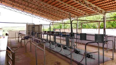 Fazenda - Foto 3