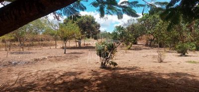 Terreno, 1000 m² - Foto 1