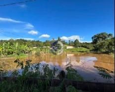 Chácara, 3 hectares - Foto 4
