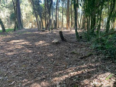 Terreno, 2 hectares - Foto 1