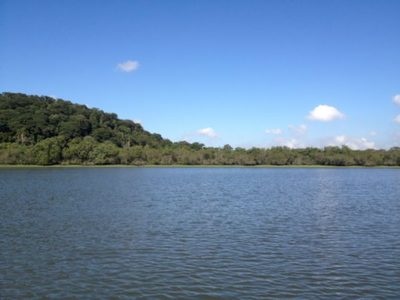 Terreno, 17 hectares - Foto 3
