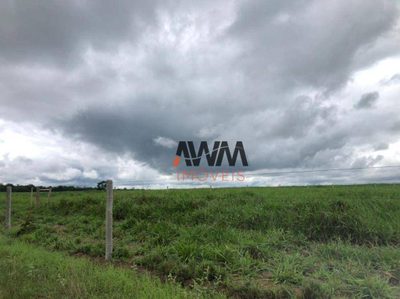 Fazenda, 4429 hectares - Foto 4