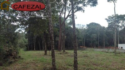 Terreno, 5100 m² - Foto 3