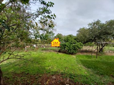 Chácara, 3 quartos, 6 hectares - Foto 3