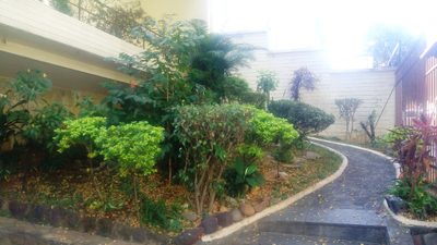 Loja-Salão, 234 m² - Foto 1