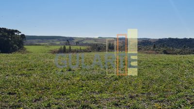 Fazenda, 244 hectares - Foto 4