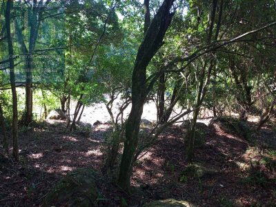 Terreno, 1575 m² - Foto 5