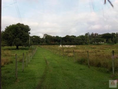 Terreno, 8 hectares - Foto 5
