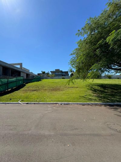 Terreno, 729 m² - Foto 4