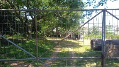 Sítio, 2 quartos, 1999 m² - Foto 2