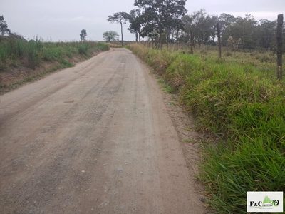 Terreno, 4 hectares - Foto 3