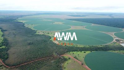 Fazenda, 5614 hectares - Foto 4