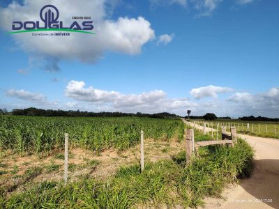 Terreno, 2 hectares - Foto 2