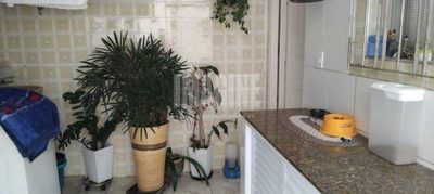 Casa, 5 quartos, 181 m² - Foto 4